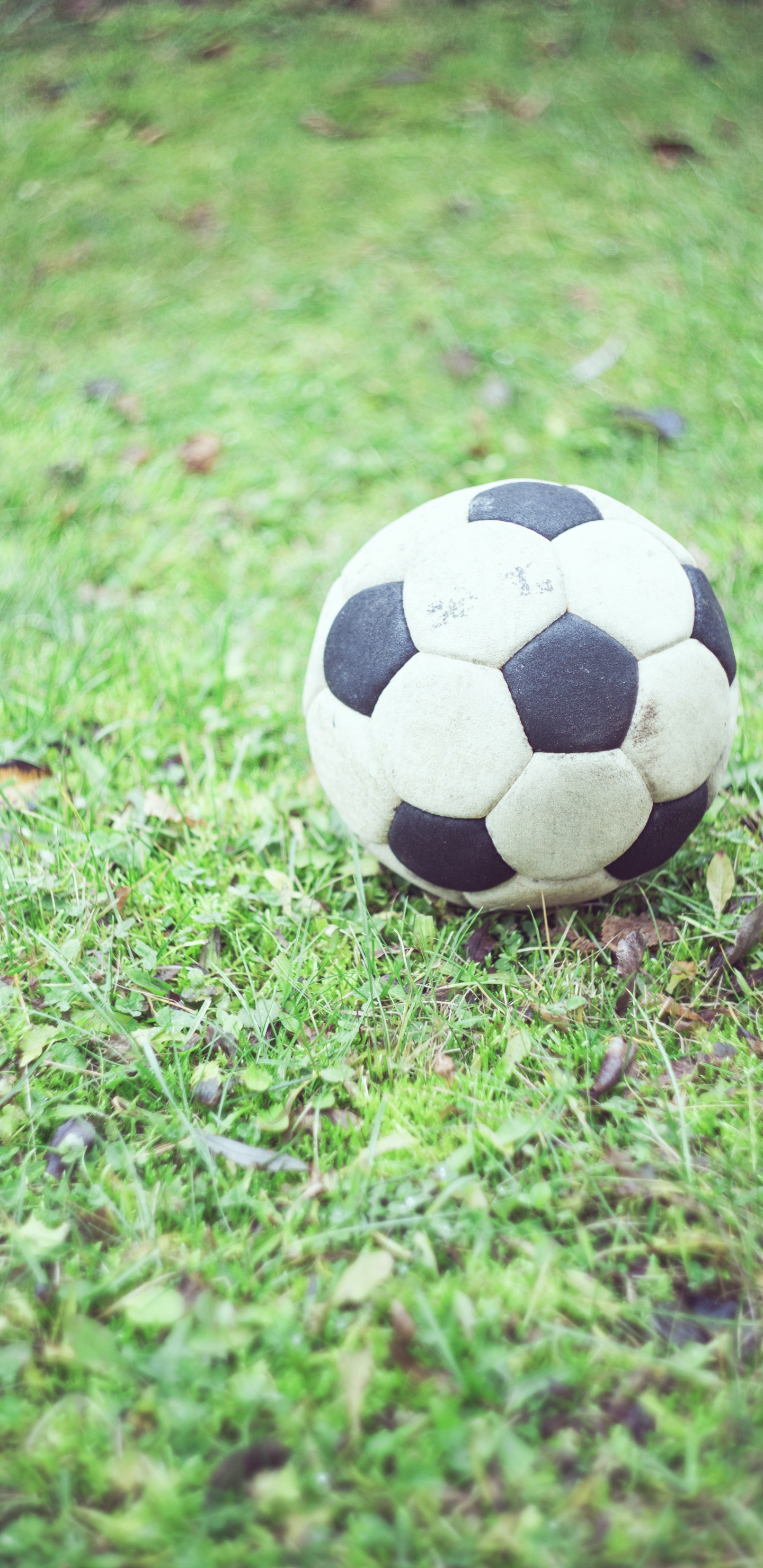 Обои мяч, футбол, цель, футбольный мяч, палоун в разрешении 1440x2960