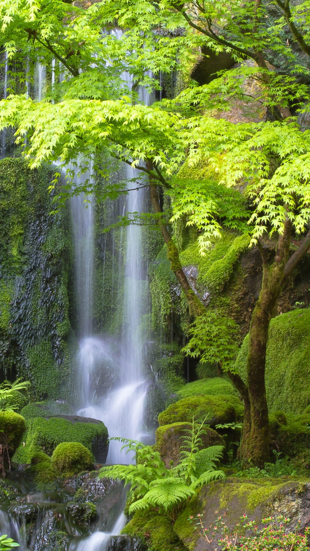 Обои Портлендский Японский Сад, водопад, водоем, природный ландшафт, природа в разрешении 1080x1920