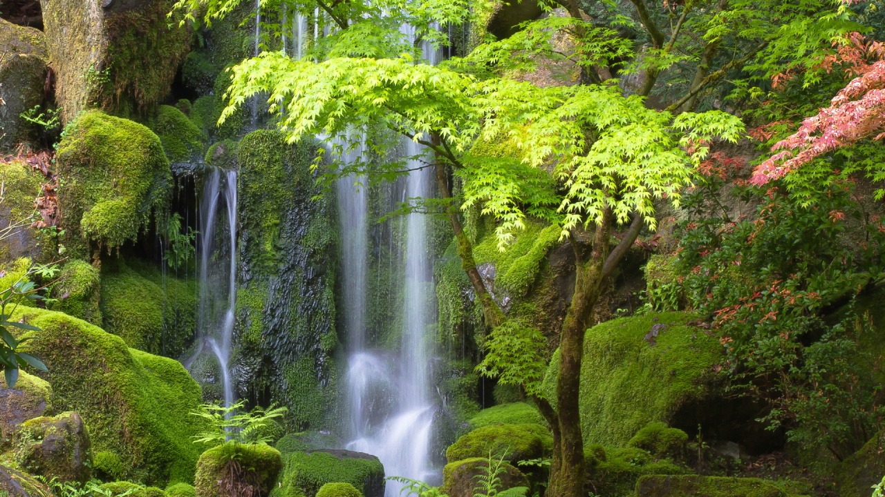 Обои Портлендский Японский Сад, водопад, водоем, природный ландшафт, природа в разрешении 1280x720