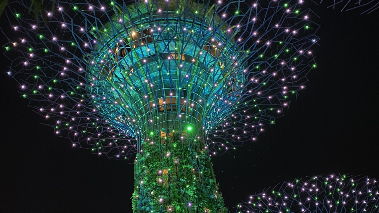 Обои Сингапур, свет, Рождественские огни, освещение, зеленый в разрешении 1280x720