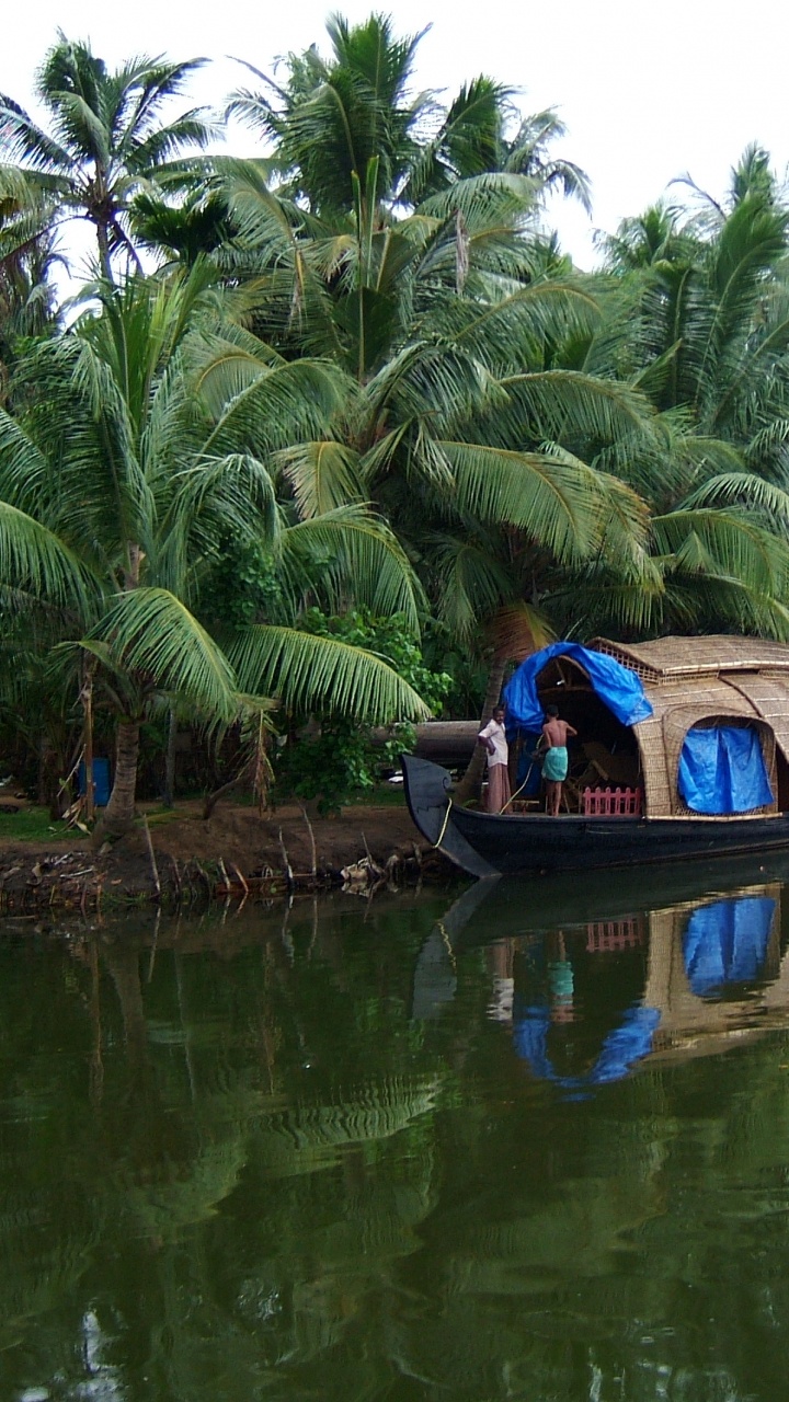 Обои коти, путешествие, туризм, перевозка воды, дерево в разрешении 720x1280