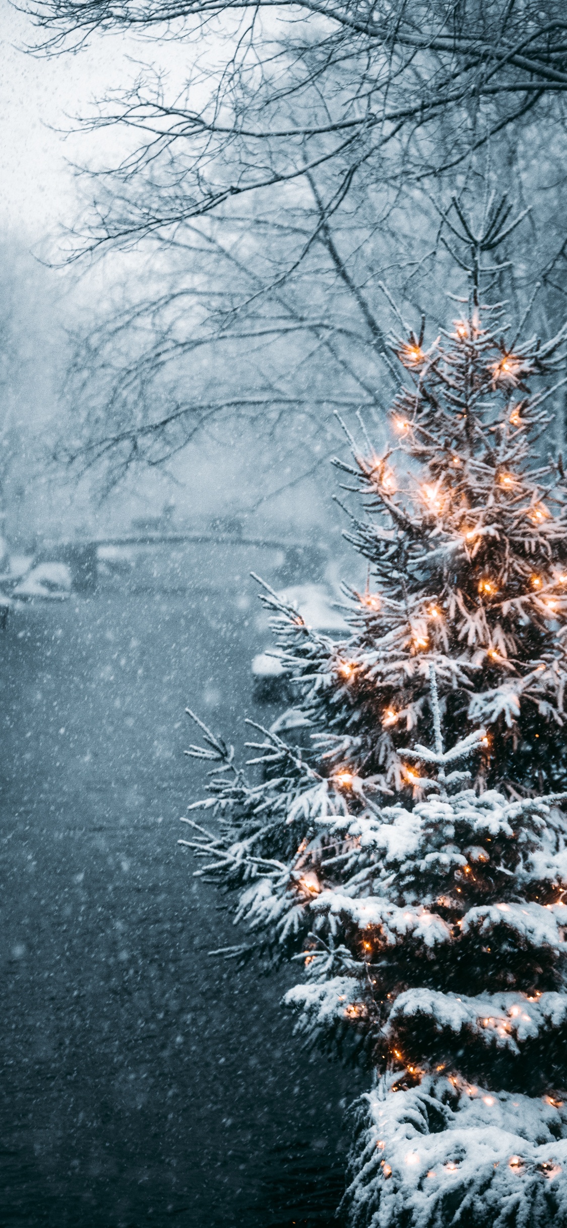 Обои Новый год, зима, природа, природный ландшафт, ветвь в разрешении 1125x2436