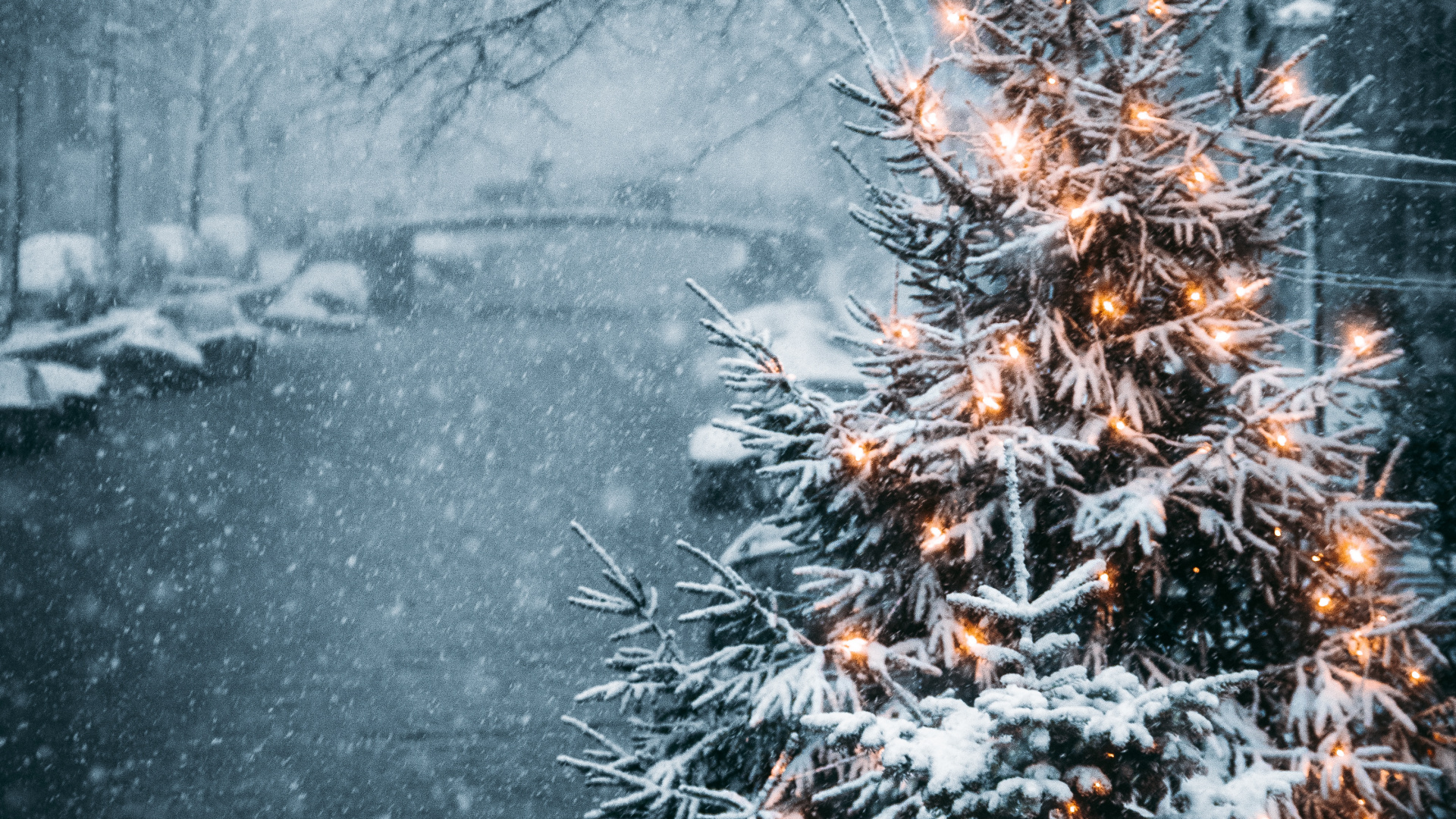 Обои Новый год, зима, природа, природный ландшафт, ветвь в разрешении 1920x1080