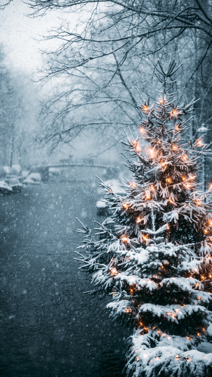 Обои Новый год, зима, природа, природный ландшафт, ветвь в разрешении 720x1280