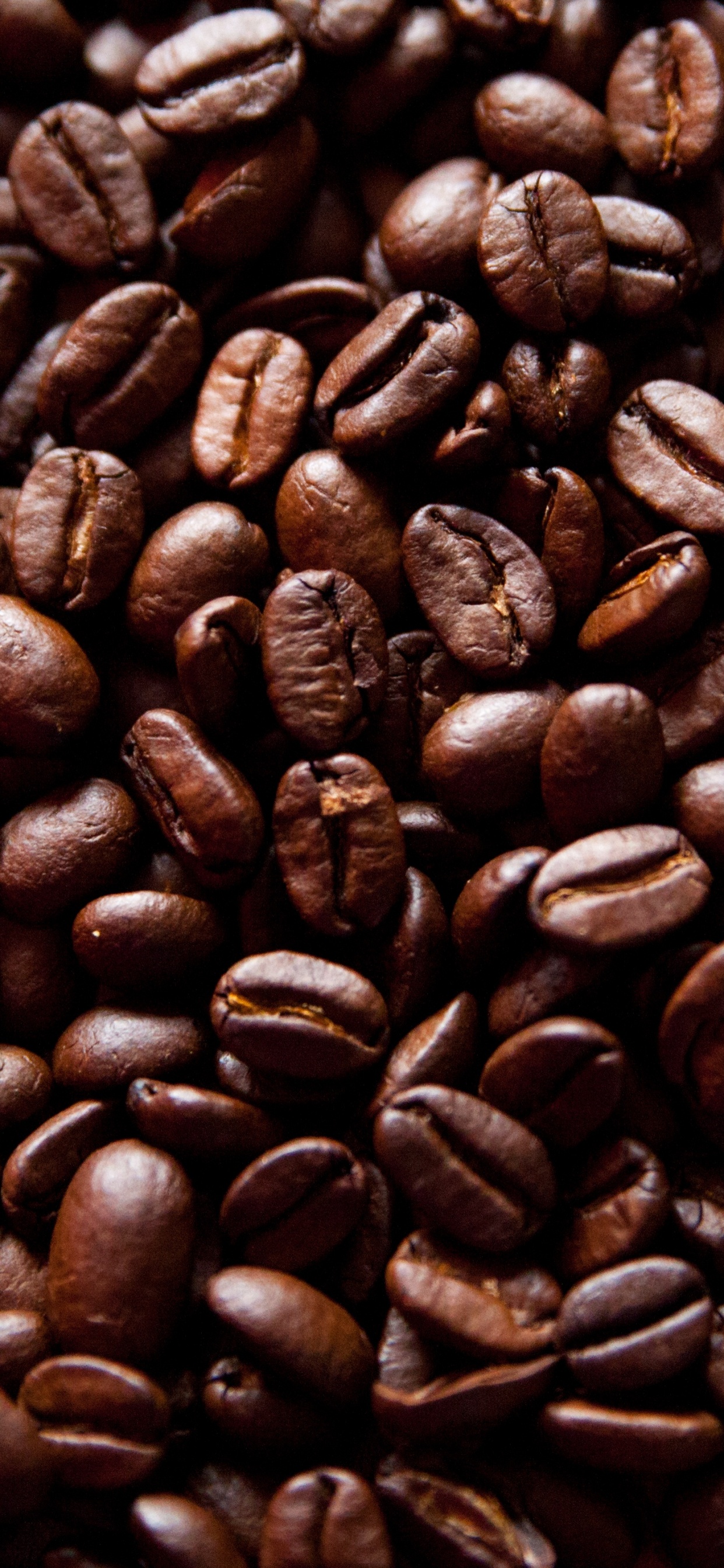 Обои ямайский кофе Блю Маунтин, крупный план, кофейная чашка, кофейня, пища в разрешении 1242x2688