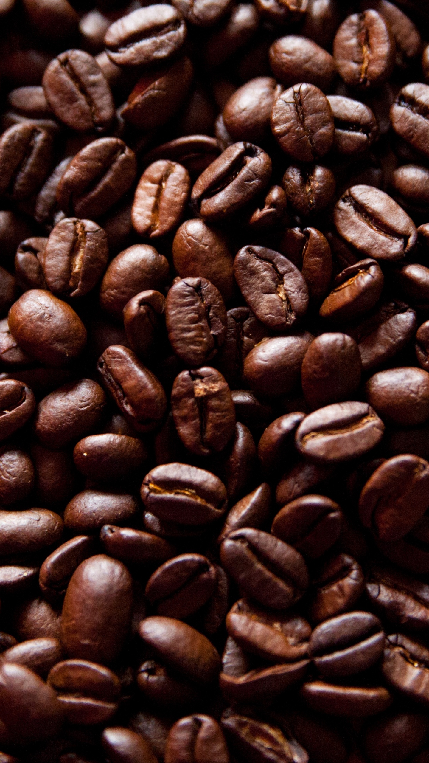 Обои ямайский кофе Блю Маунтин, крупный план, кофейная чашка, кофейня, пища в разрешении 1440x2560