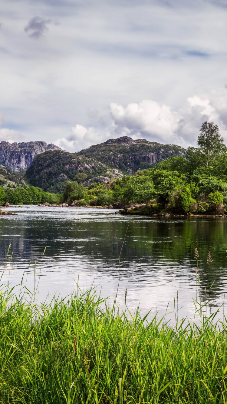 Обои природа, Норвегия, вода, озеро, растительность в разрешении 750x1334