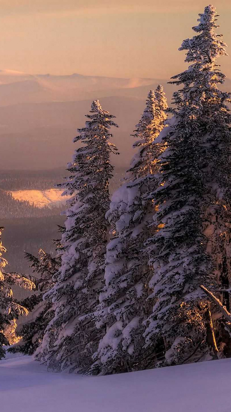 Обои зима, снег, гора, дерево, горный хребет в разрешении 750x1334