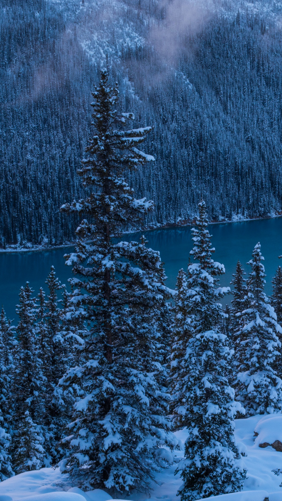 Обои озеро пейто, банфф, природа, снег, зима в разрешении 1080x1920