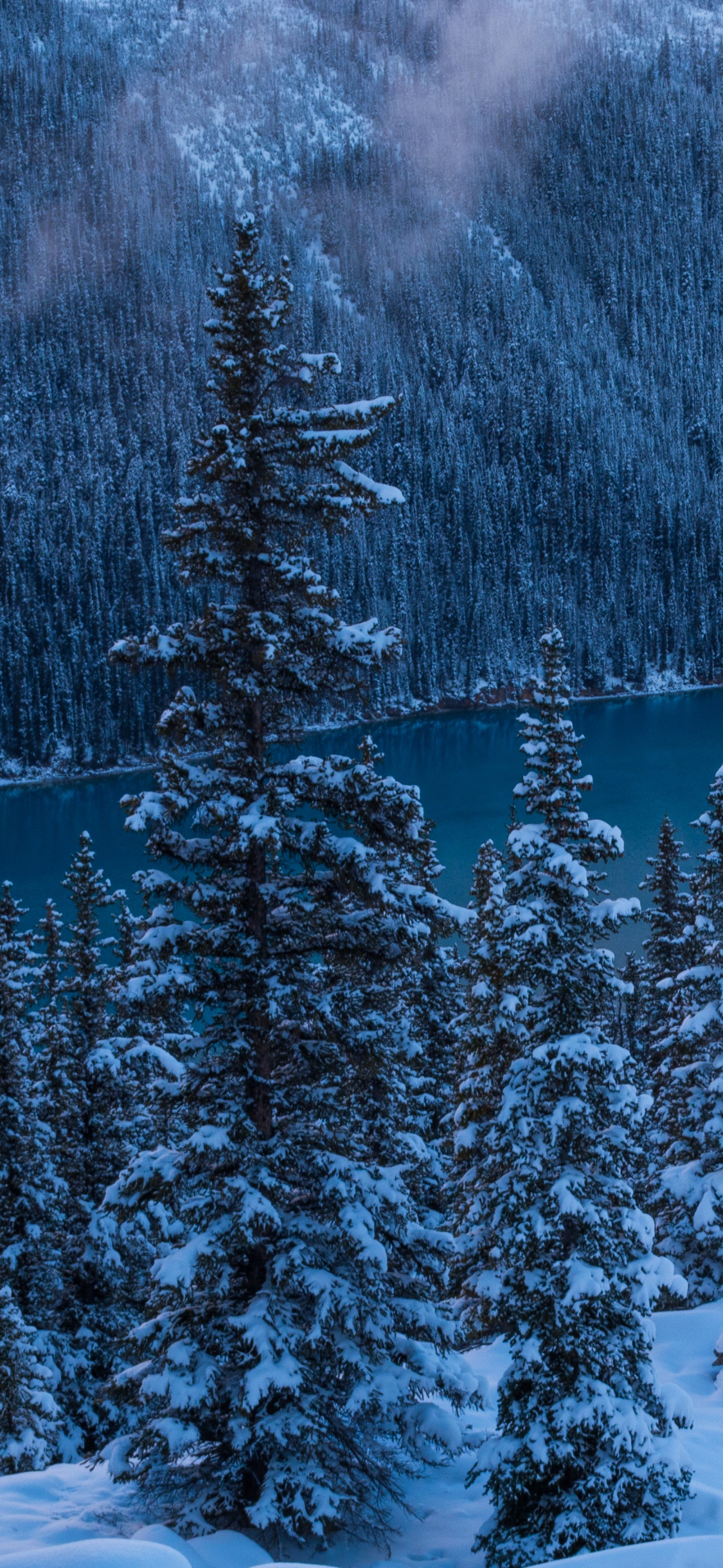 Обои озеро пейто, банфф, природа, снег, зима в разрешении 1125x2436