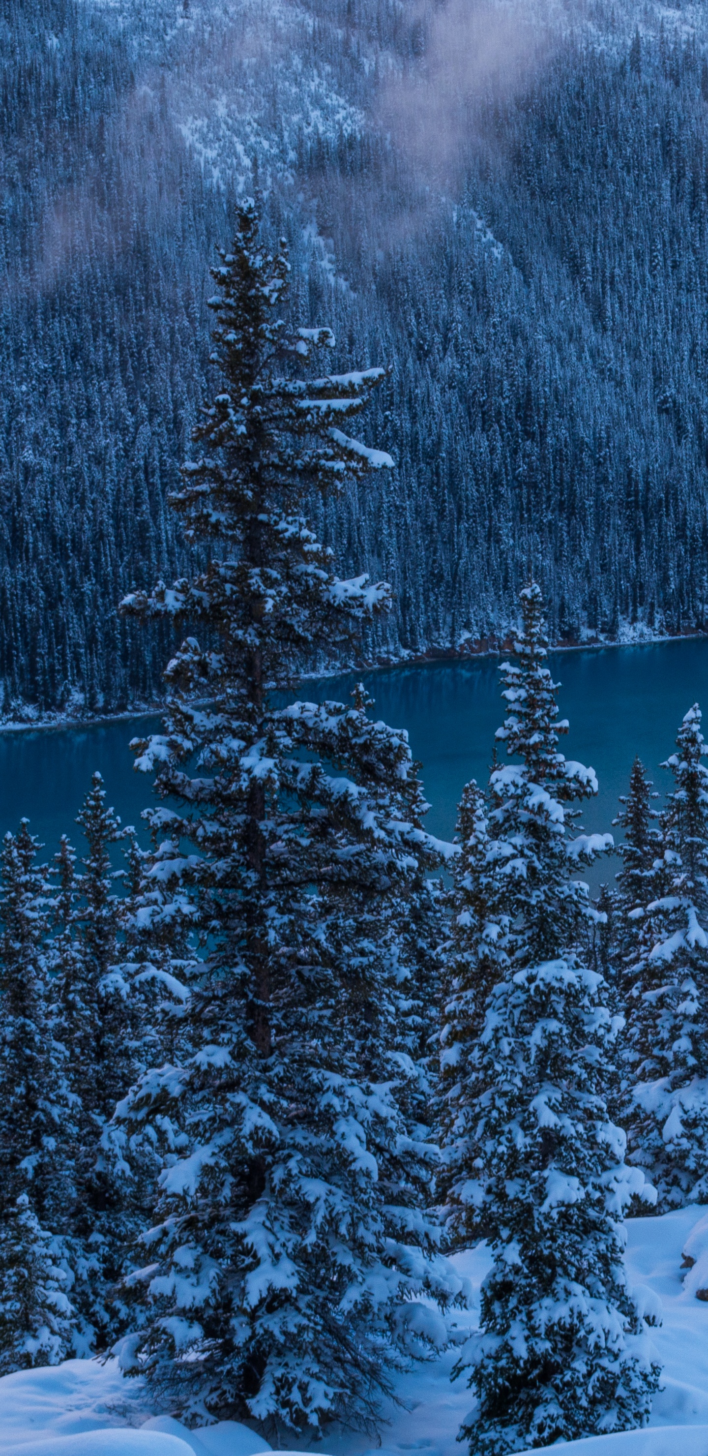 Обои озеро пейто, банфф, природа, снег, зима в разрешении 1440x2960