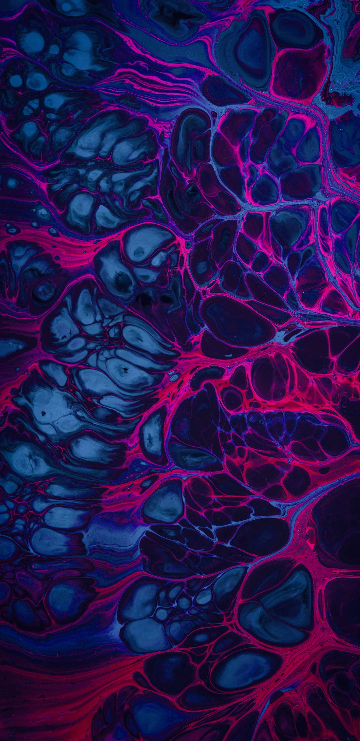 Обои фрактальное искусство, визуальное искусство, арт, цифровое искусство, графический дизайн в разрешении 1440x2960