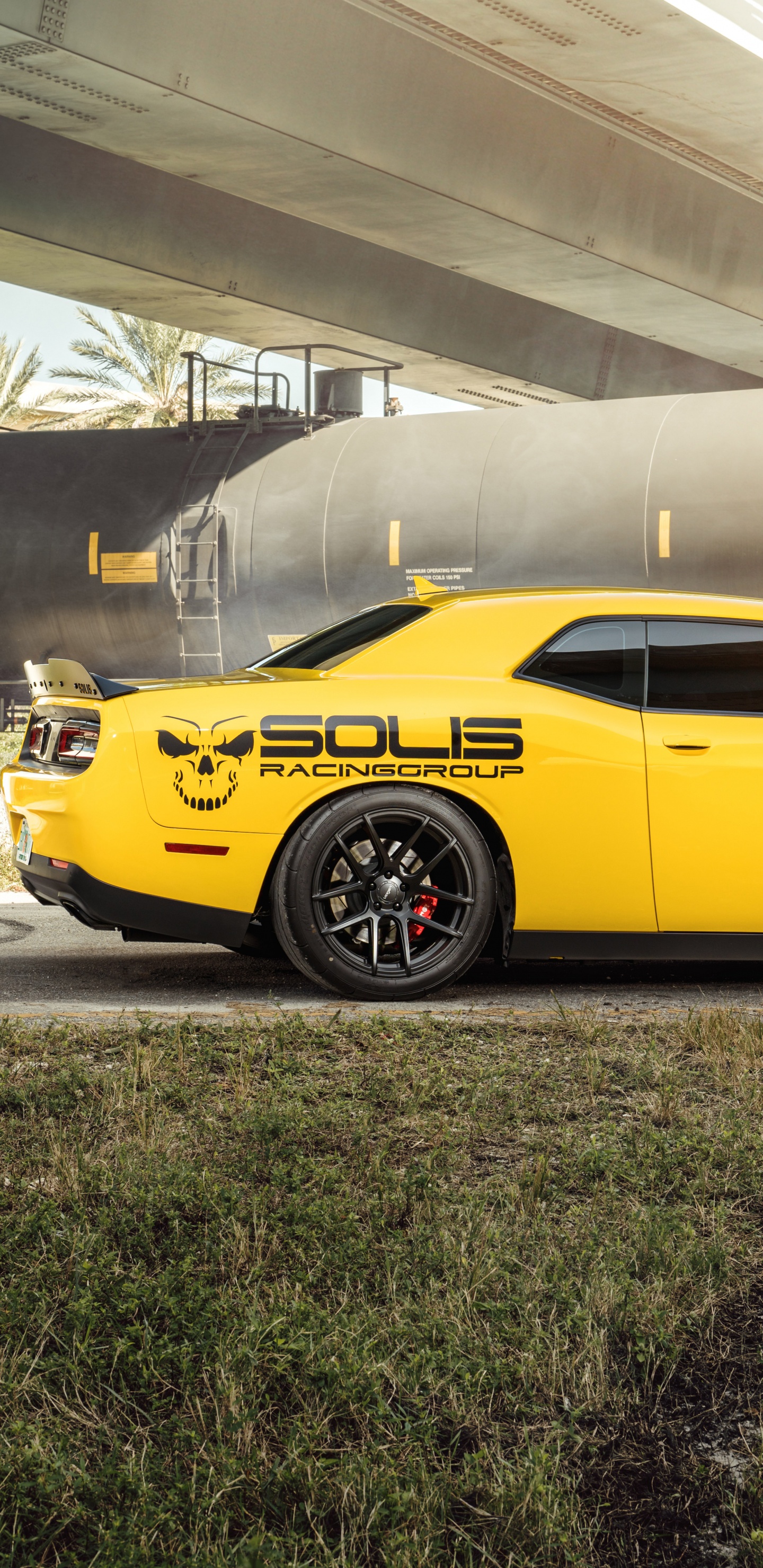 Обои обод, dodge, авто, желтый, мускул кар в разрешении 1440x2960