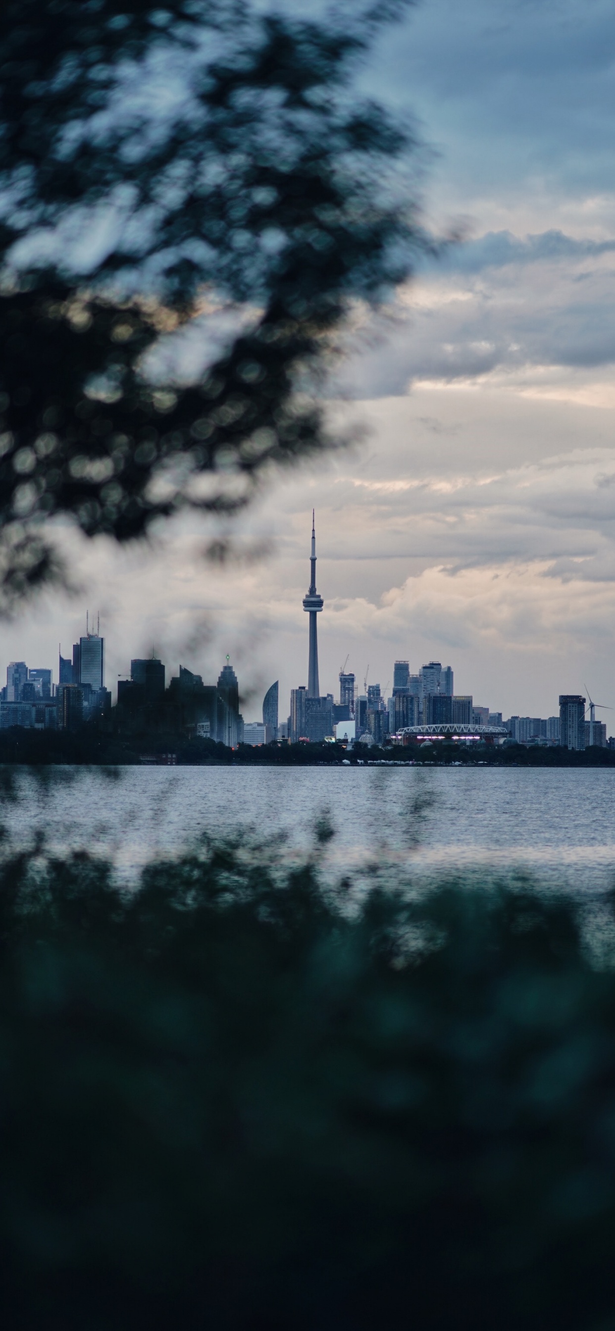 Обои вода, синий, облако, город, отражение в разрешении 1242x2688