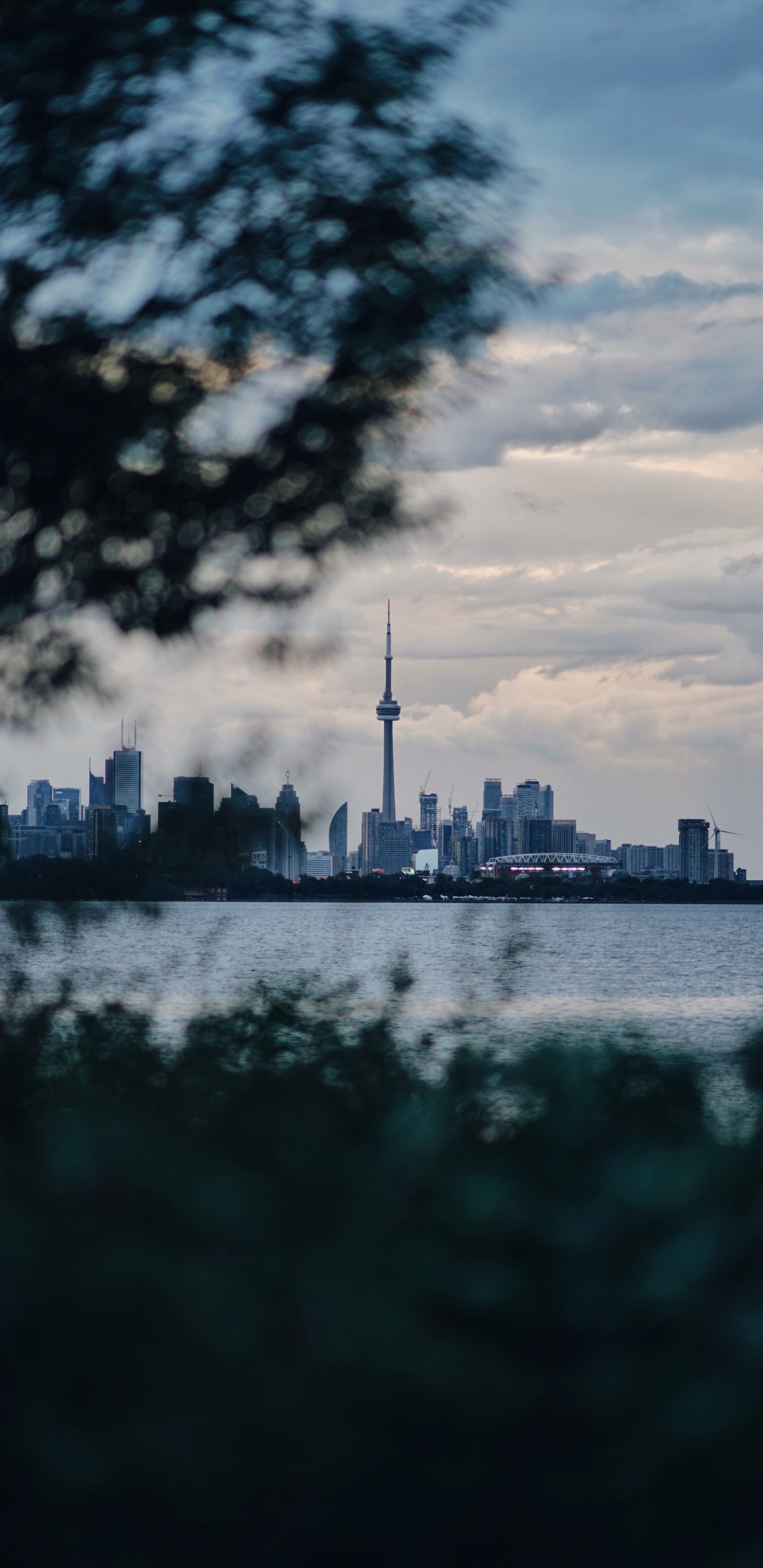 Обои вода, синий, облако, город, отражение в разрешении 1440x2960