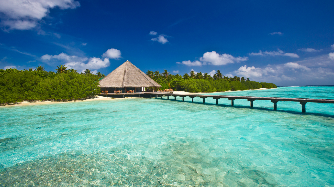 Обои Мальдивы, прибежище, отпуск, тропическая зона, море в разрешении 1366x768