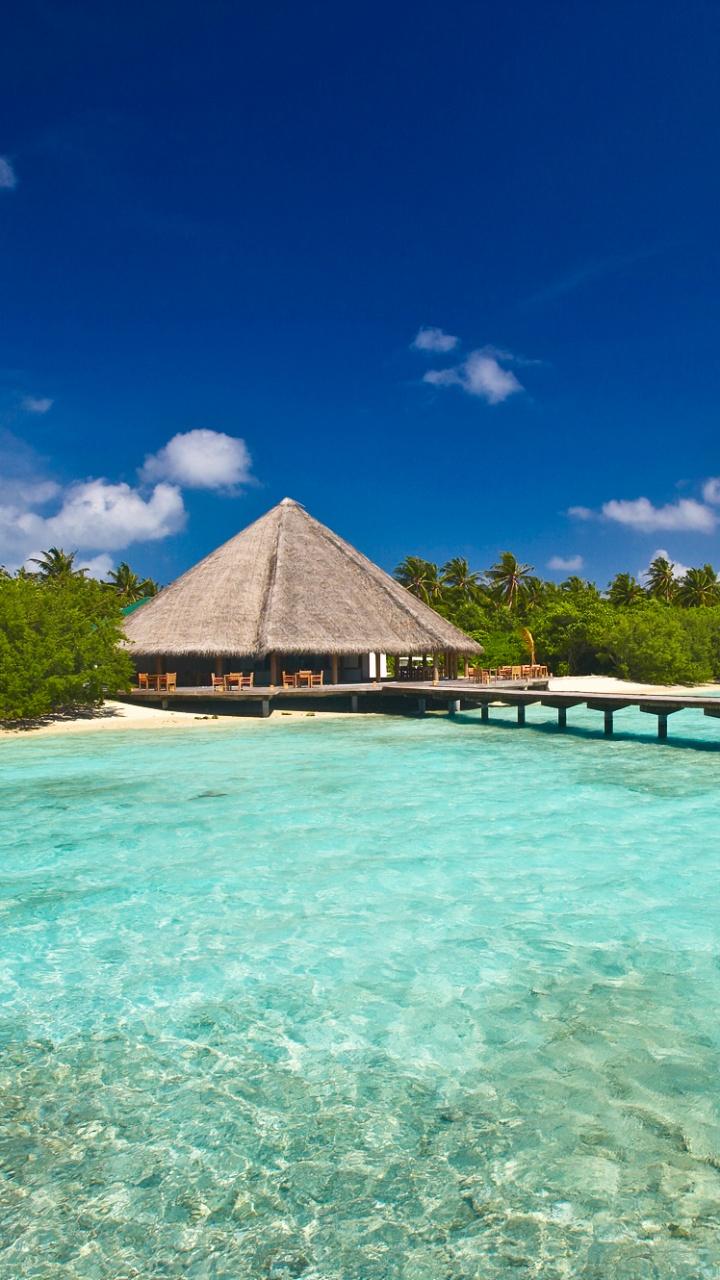 Обои Мальдивы, прибежище, отпуск, тропическая зона, море в разрешении 720x1280