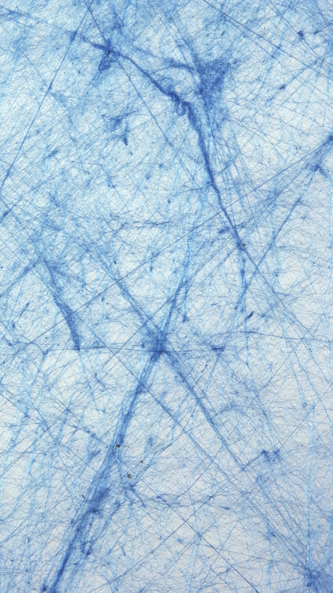 Обои бумага, синий, ветвь, дерево, узор в разрешении 1080x1920