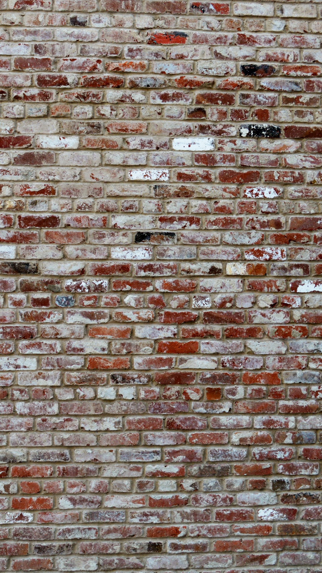 Обои каменная стена, кирпич, стена, кирпичная кладка, текстура в разрешении 1080x1920