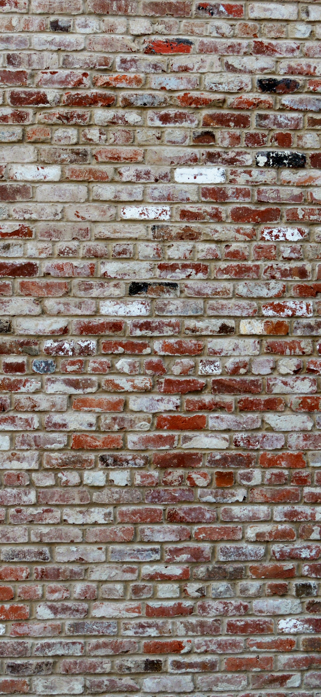 Обои каменная стена, кирпич, стена, кирпичная кладка, текстура в разрешении 1125x2436