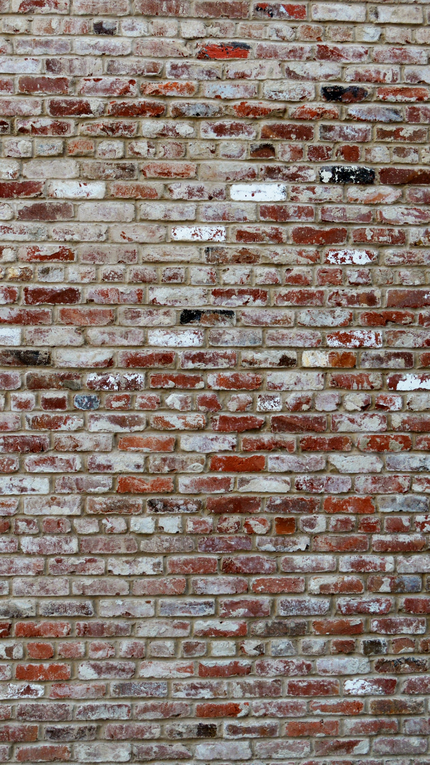 Обои каменная стена, кирпич, стена, кирпичная кладка, текстура в разрешении 1440x2560