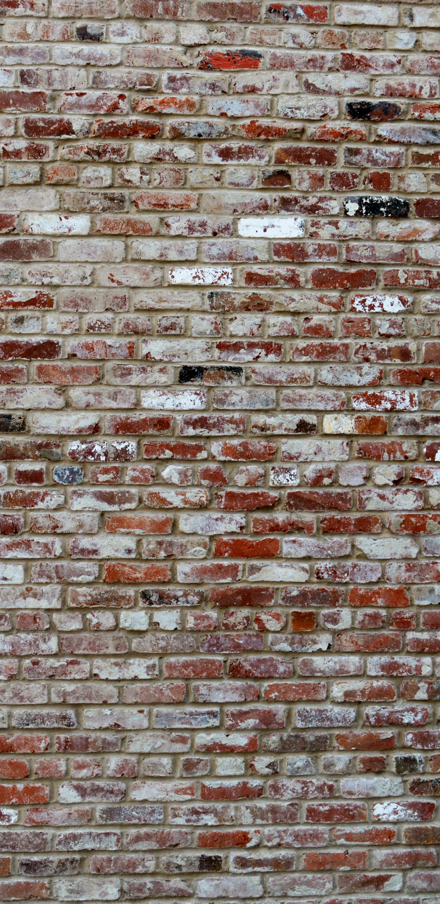 Обои каменная стена, кирпич, стена, кирпичная кладка, текстура в разрешении 1440x2960