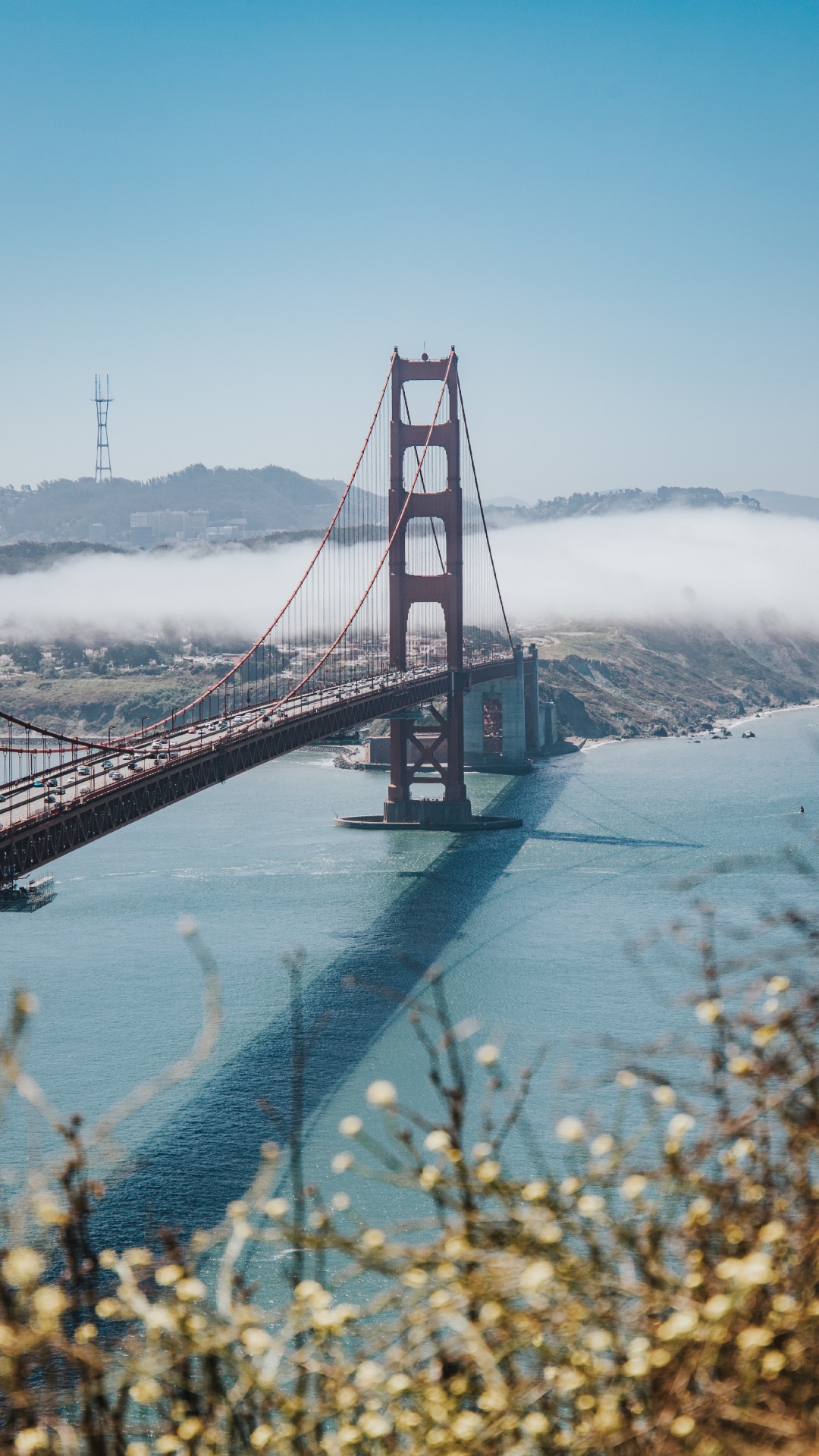 Обои снег, зима, Структура Nonbuilding, небо, подвесной мост в разрешении 1080x1920