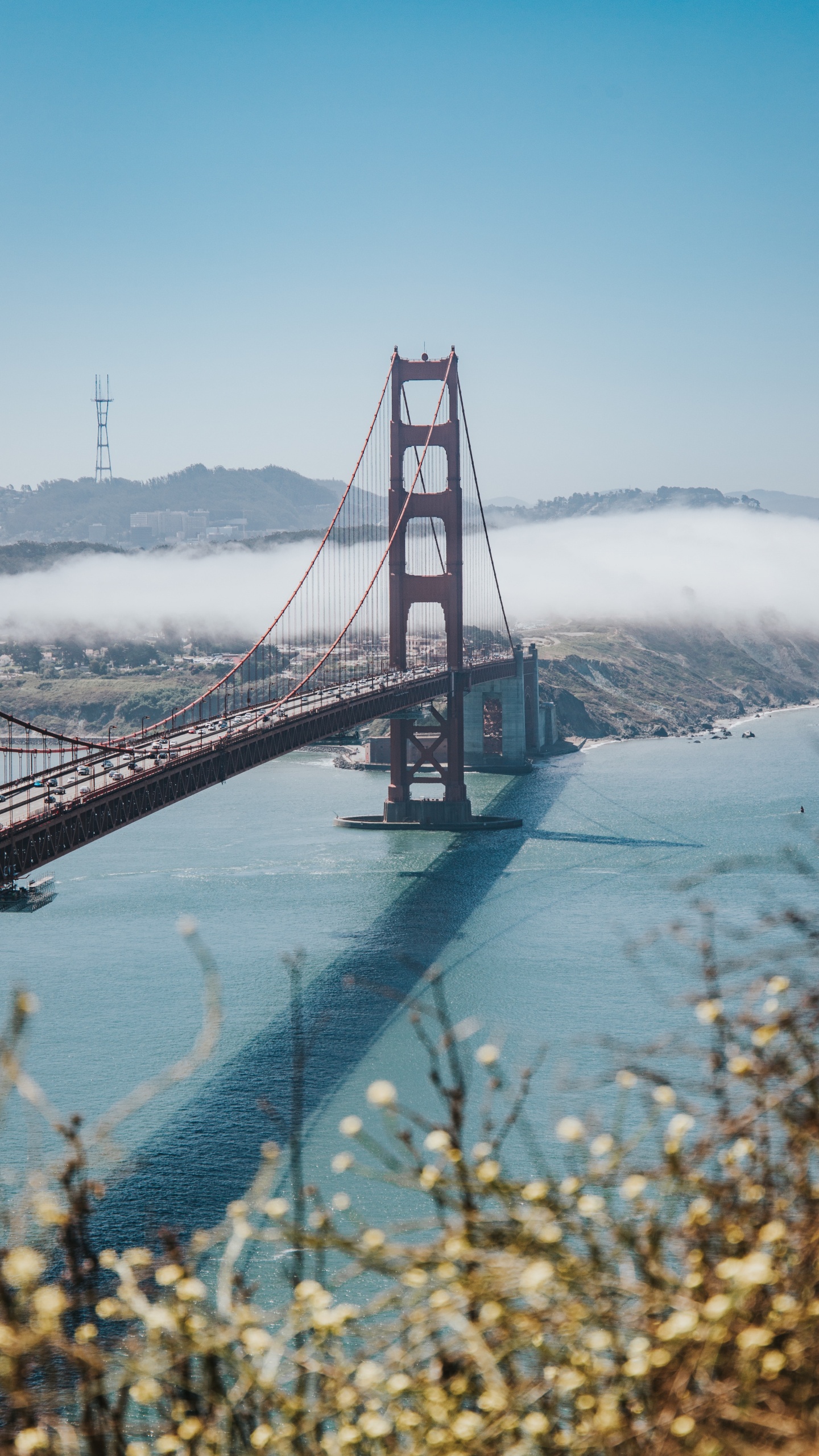 Обои снег, зима, Структура Nonbuilding, небо, подвесной мост в разрешении 1440x2560