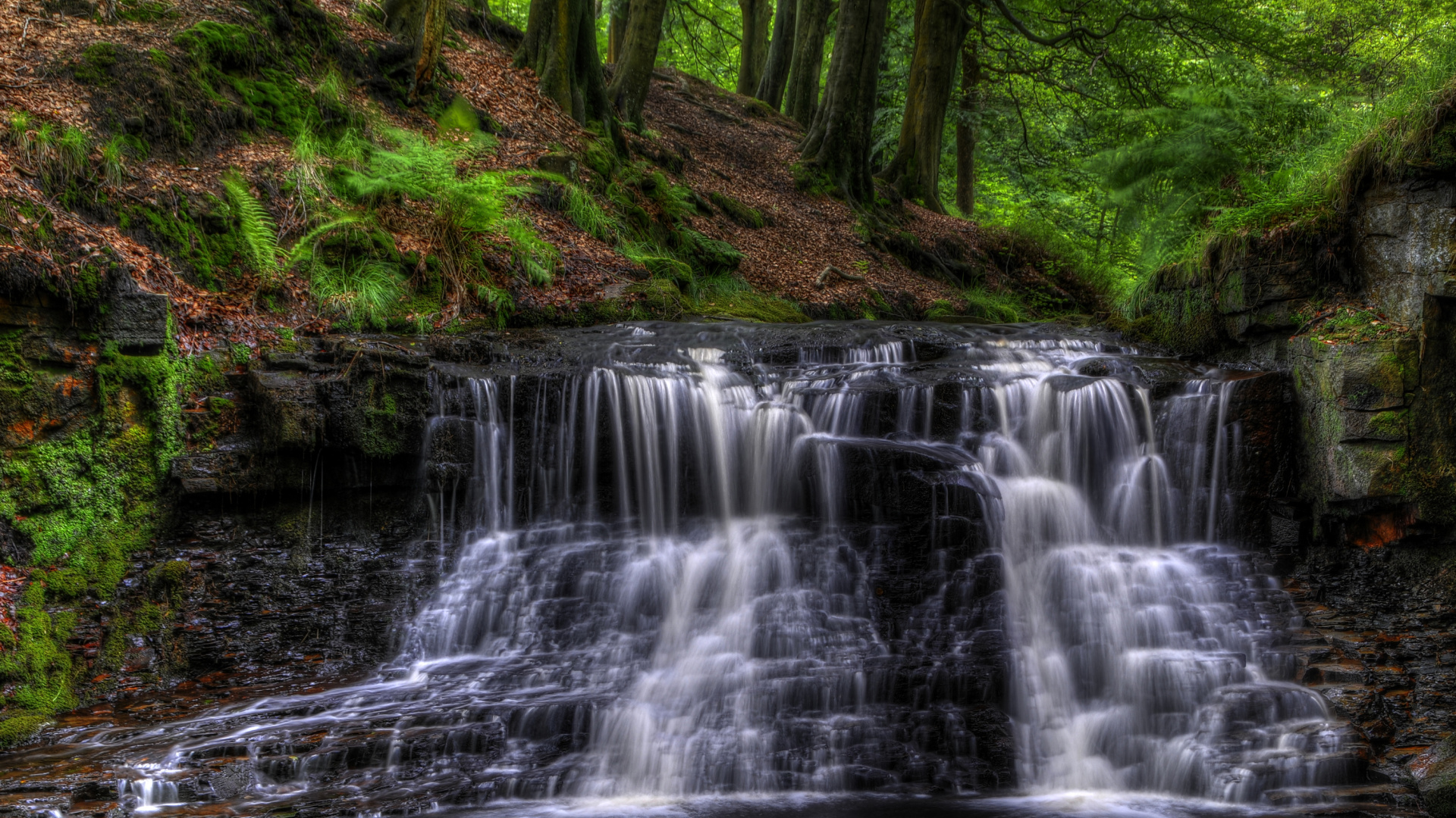 Обои Roddlesworth Древесины, водопад, водоток, природа, водоем в разрешении 1920x1080