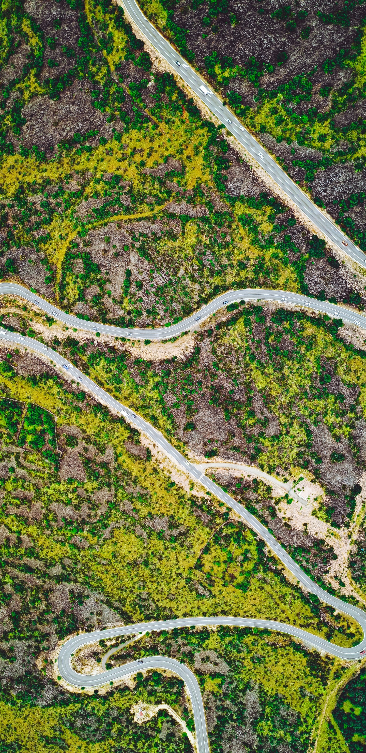 Обои дорога, водный путь, эстуарий, растение, проезд в разрешении 1440x2960