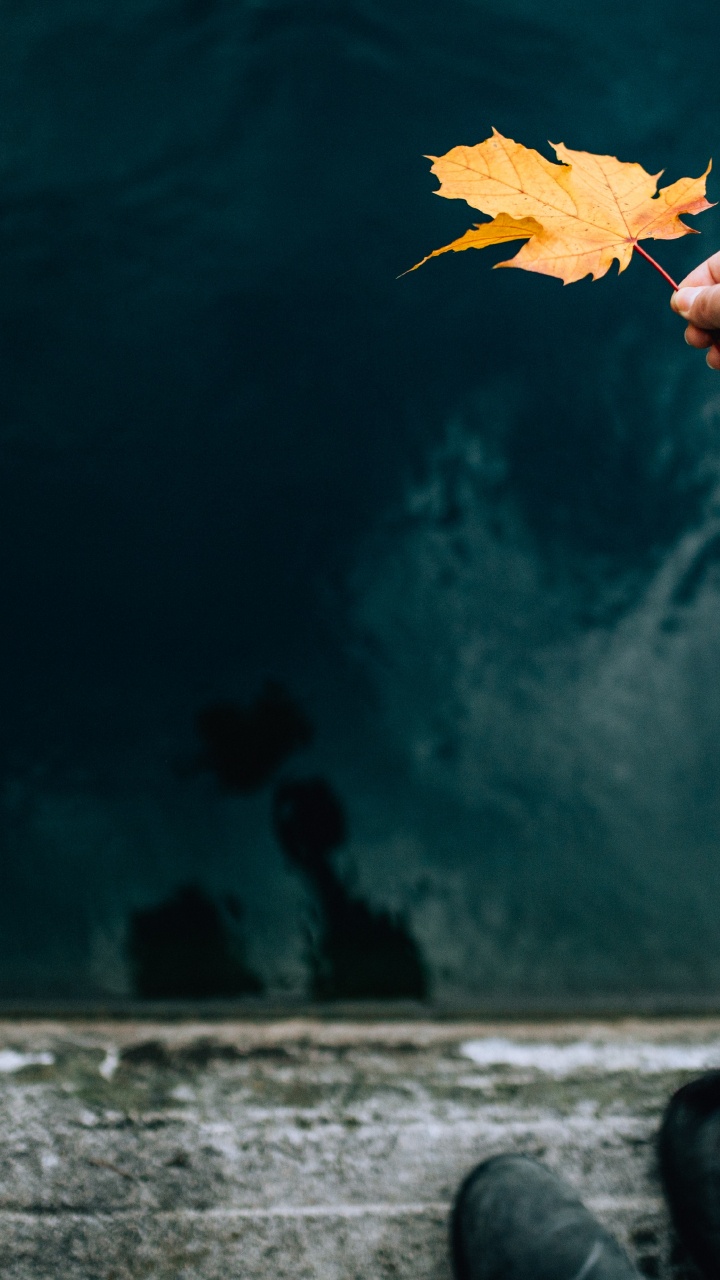 Обои синий, растение, цветок, облако, рука в разрешении 720x1280