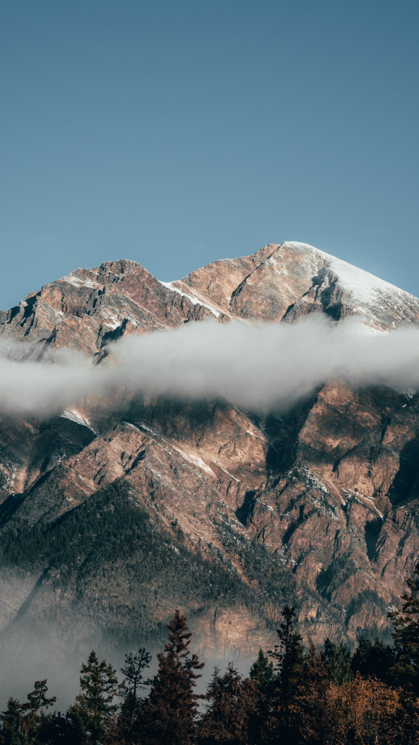 Обои Канадские Скалистые Горы, ледник атабаска, горный рельеф, горный хребет, гора в разрешении 1440x2560