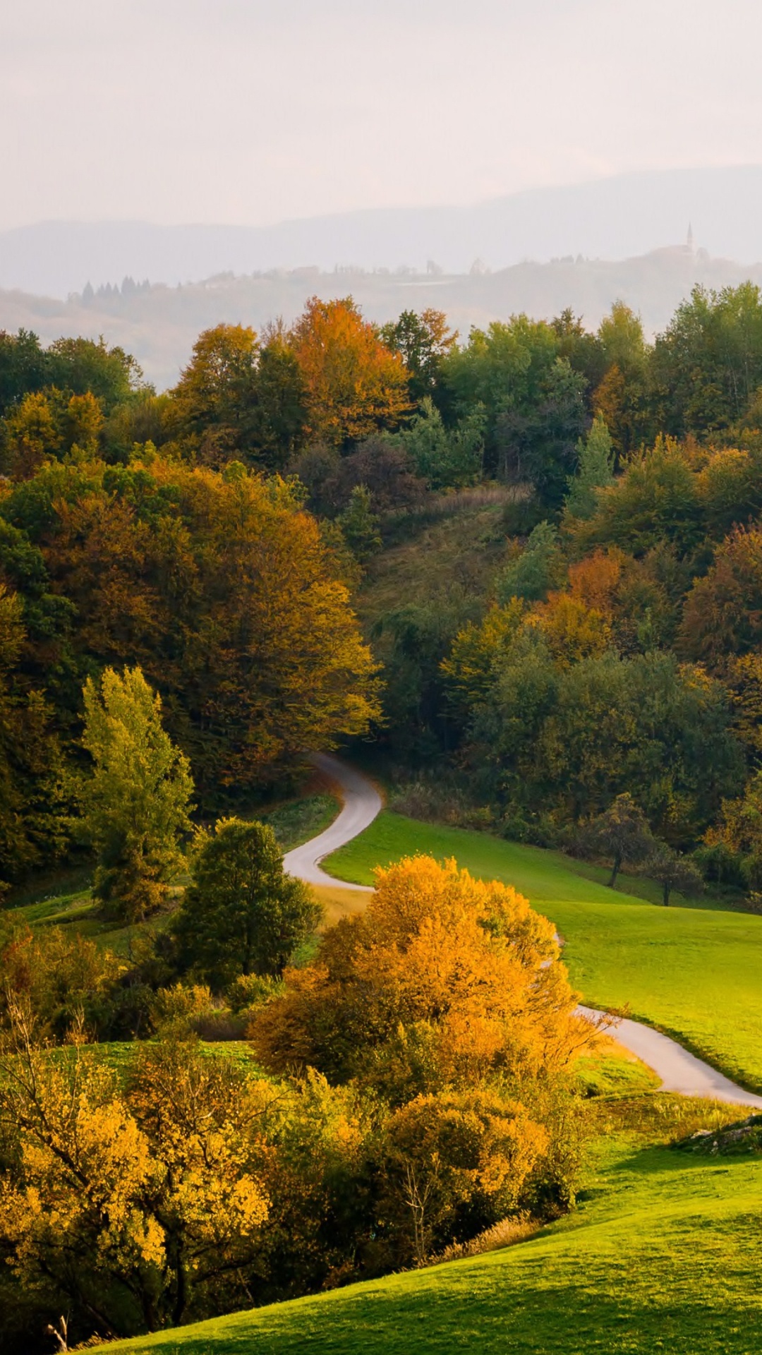 Обои природа, лист, осень, дерево, холм в разрешении 1080x1920