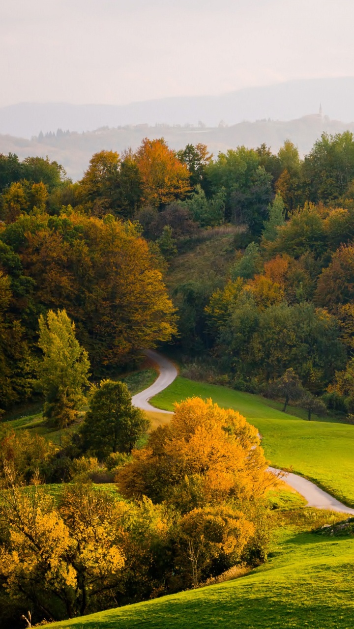 Обои природа, лист, осень, дерево, холм в разрешении 720x1280