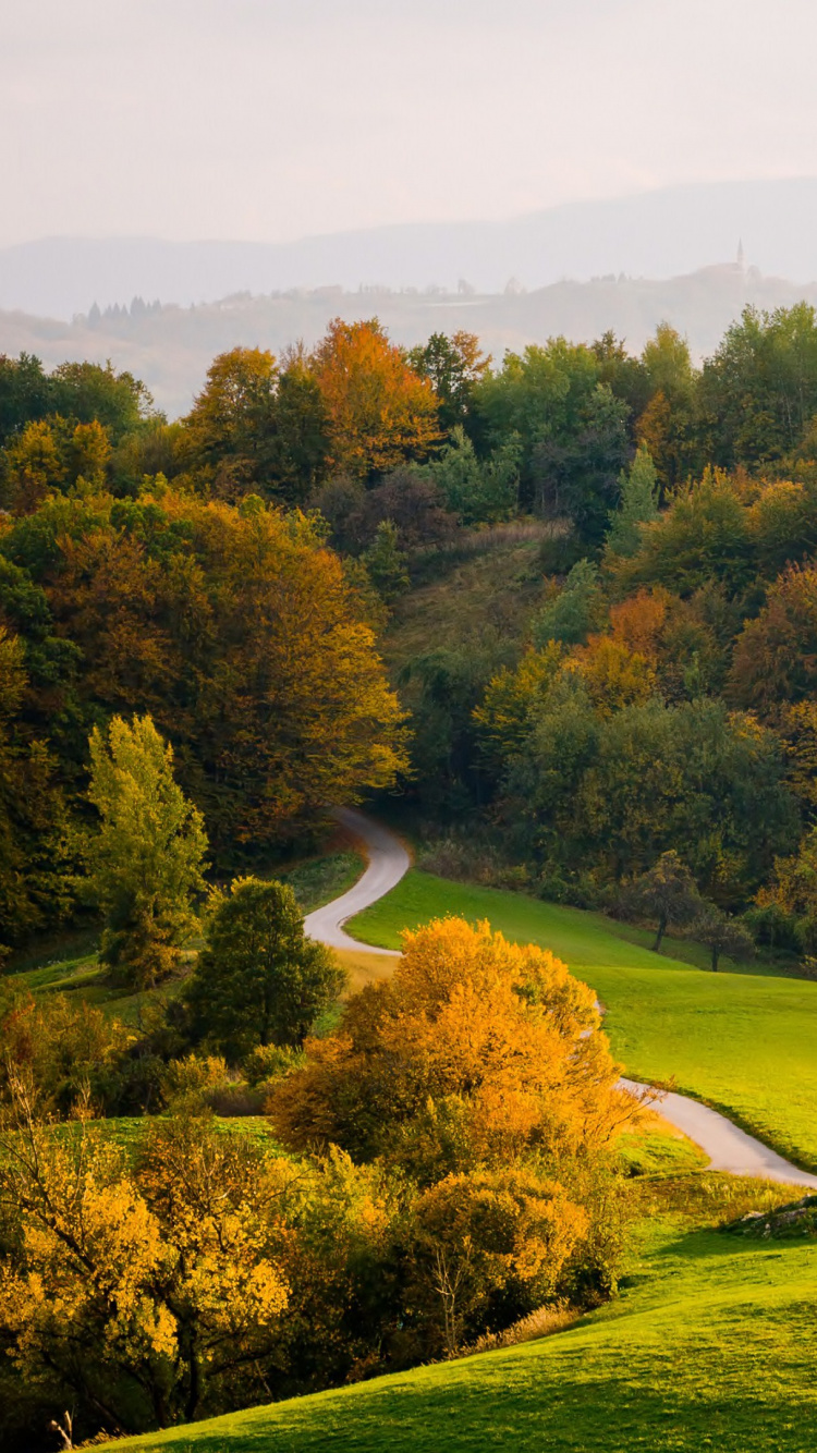 Обои природа, лист, осень, дерево, холм в разрешении 750x1334