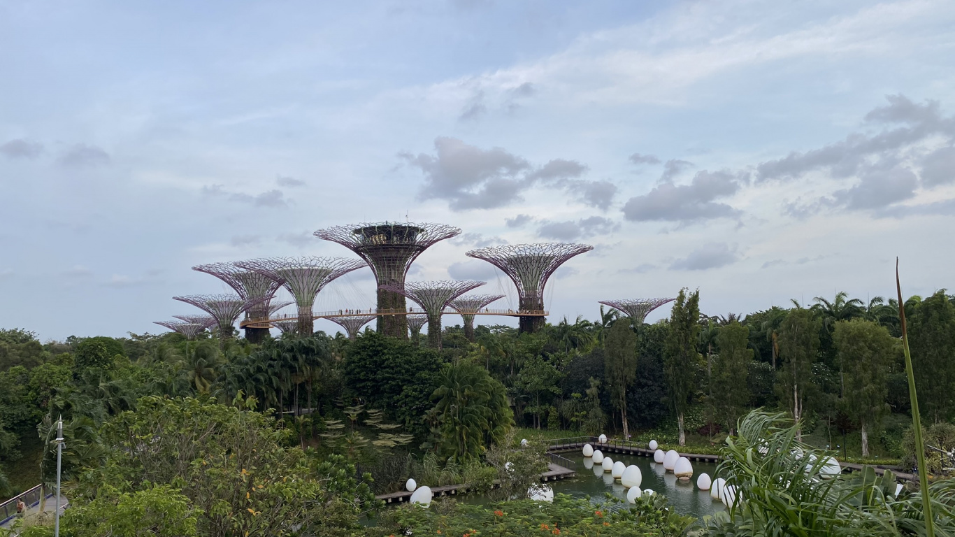 Обои Сингапур, Марина Сити Парк, биология, наука, облако в разрешении 1366x768
