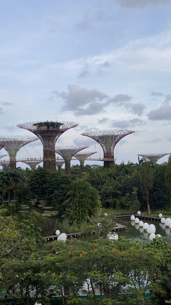 Обои Сингапур, Марина Сити Парк, биология, наука, облако в разрешении 720x1280