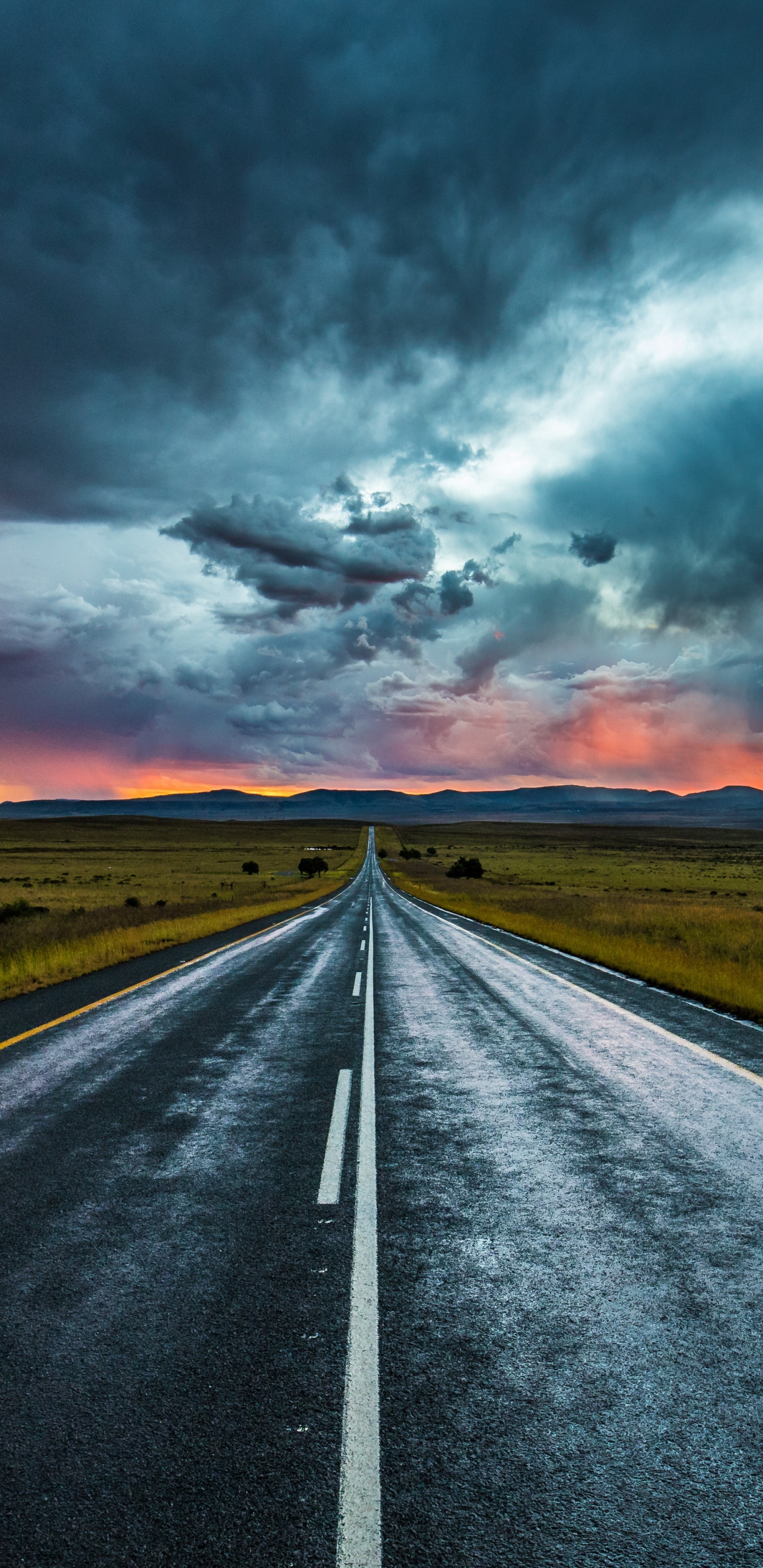 Обои дорога, магистраль, облако, растение, атмосфера в разрешении 1440x2960