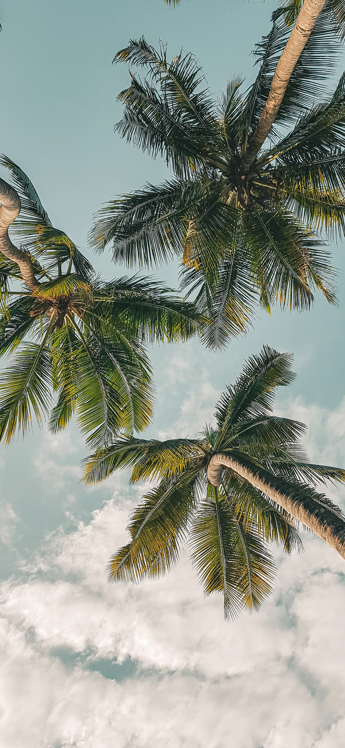 Обои милые яблочные часы, Apple Watch, ipod touch, яблоко, ios в разрешении 1125x2436