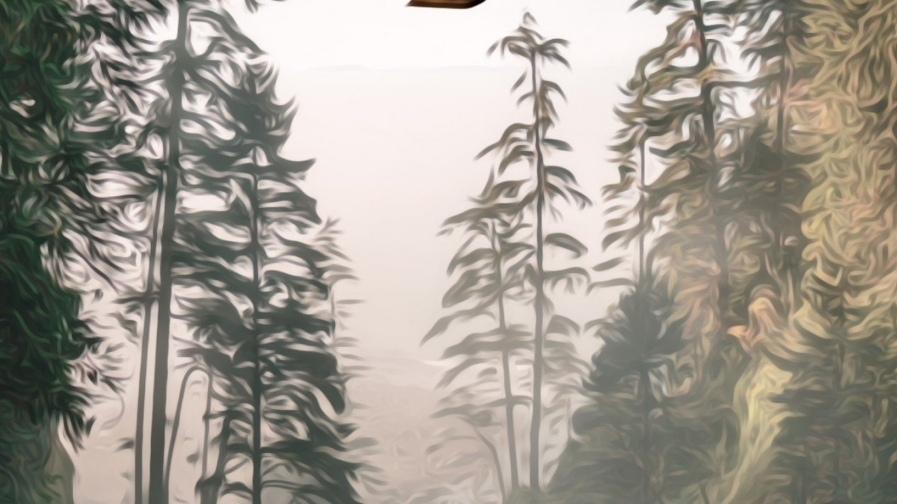 Обои воздушный шар, дерево, природа, лес, ель в разрешении 1280x720