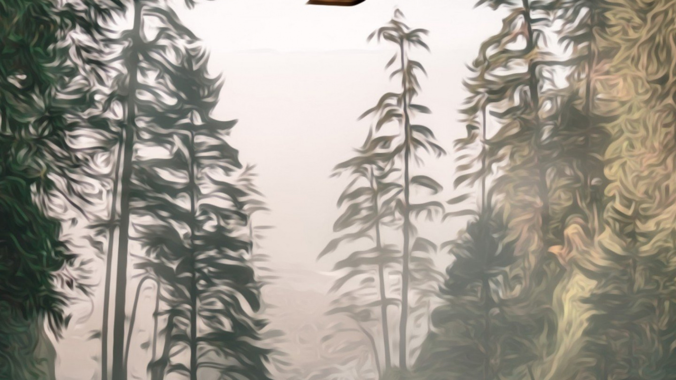 Обои воздушный шар, дерево, природа, лес, ель в разрешении 1366x768