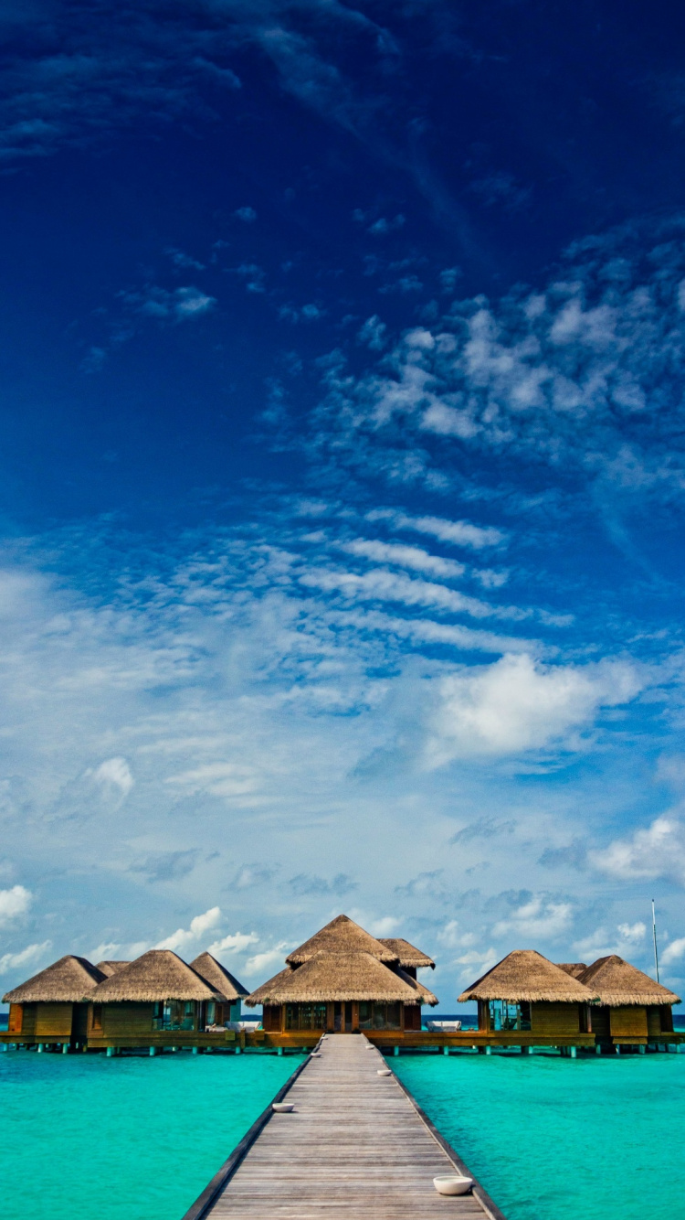 Обои море, берег, облако, вода, синий в разрешении 750x1334