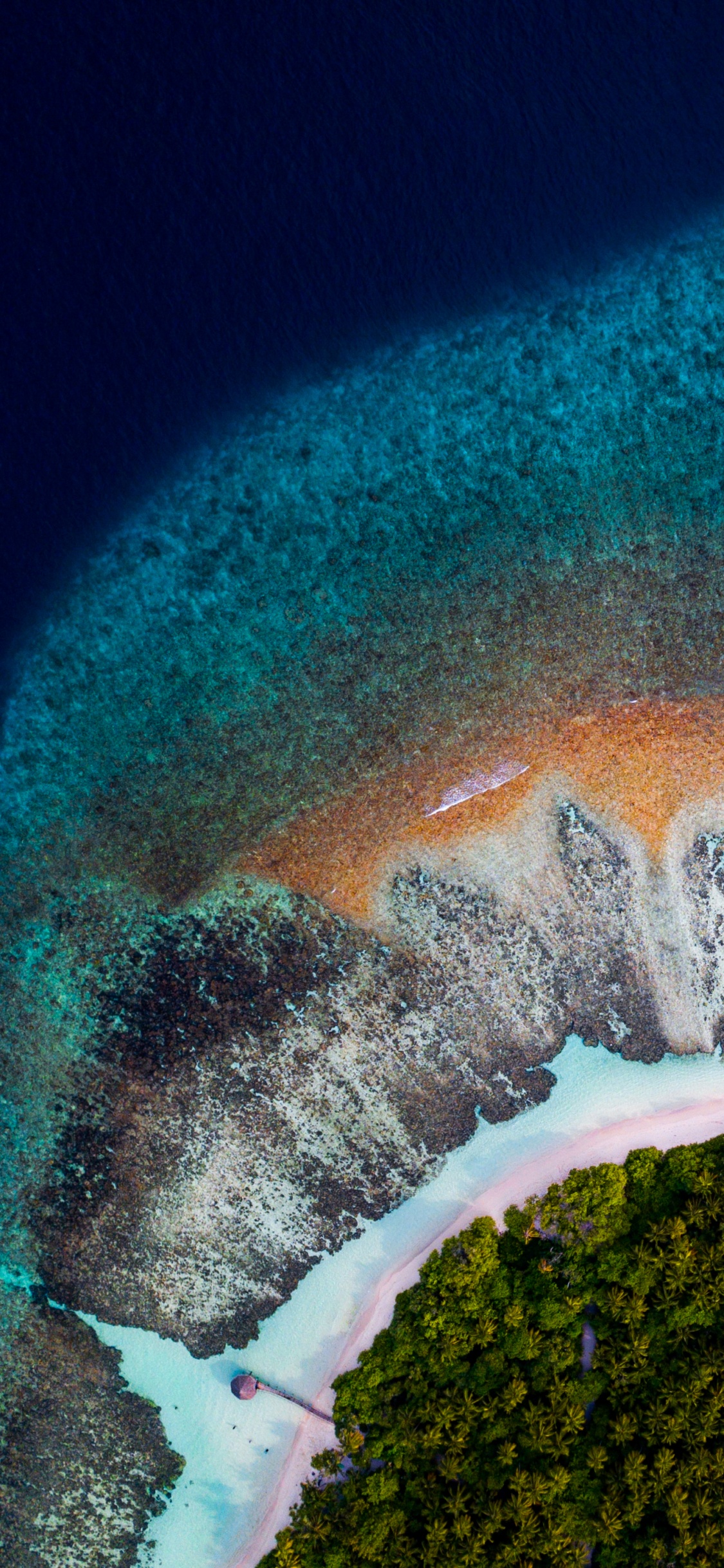 Обои вода, земля, море, атмосфера земли, атмосфера в разрешении 1125x2436