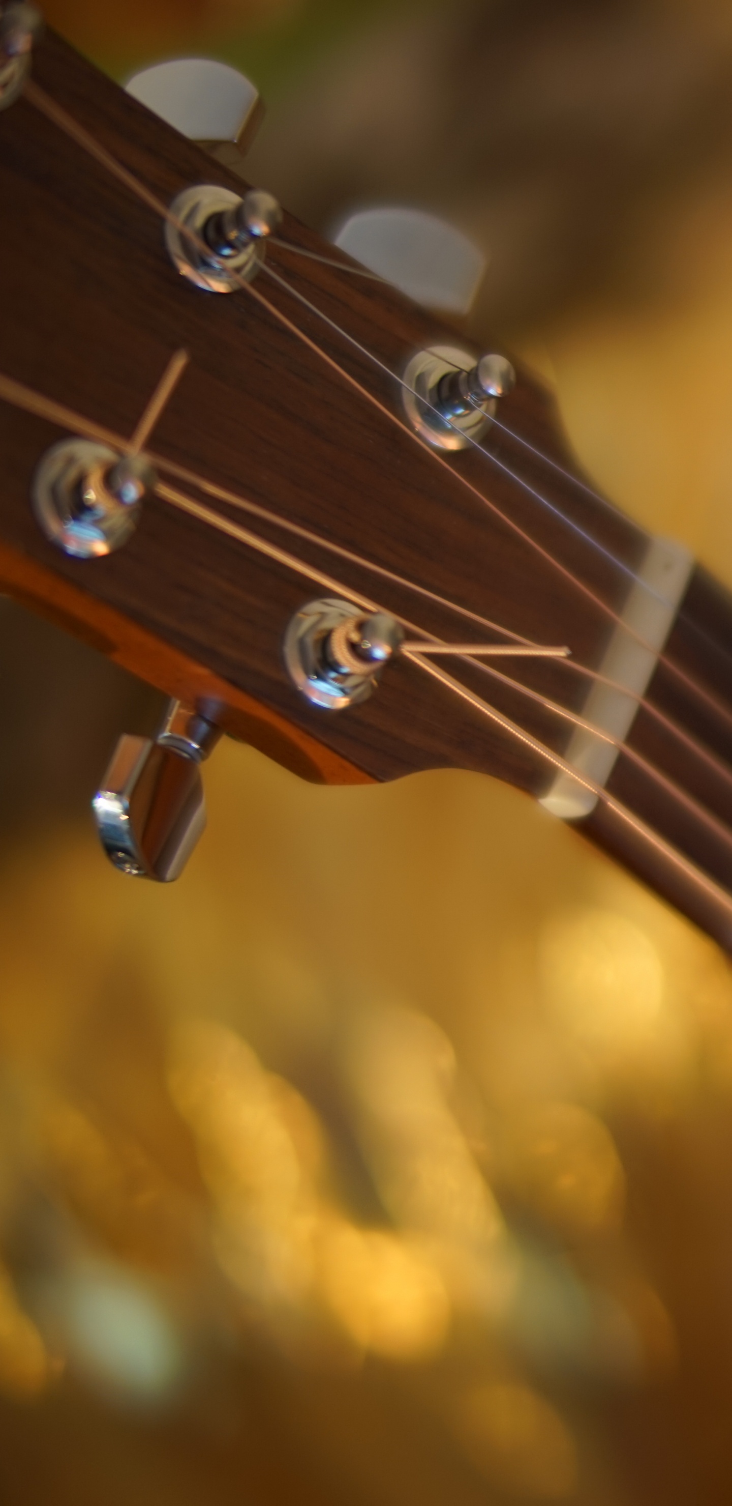 Обои струнный инструмент, гитара, басгитара, акустическая гитара, электрогитара в разрешении 1440x2960