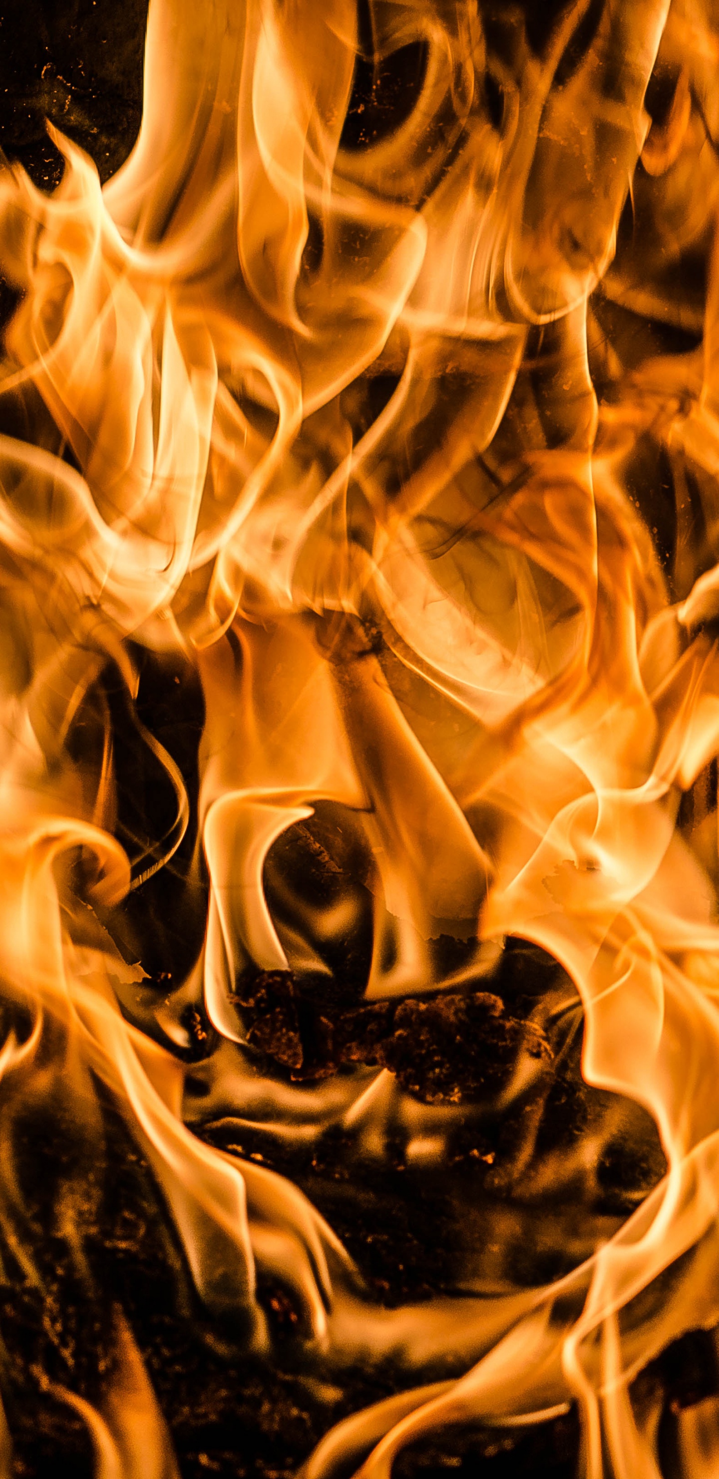 Обои пламя, огонь, тепло, костер в разрешении 1440x2960