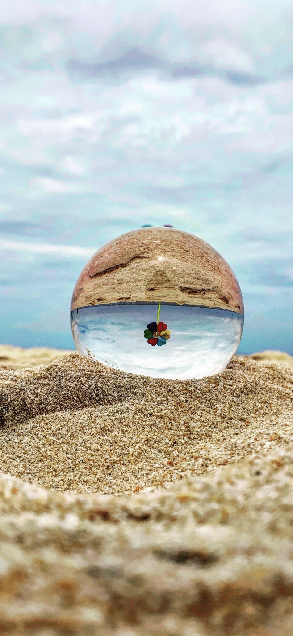 Обои вода, облако, древесина, дерево, горизонт в разрешении 1242x2688