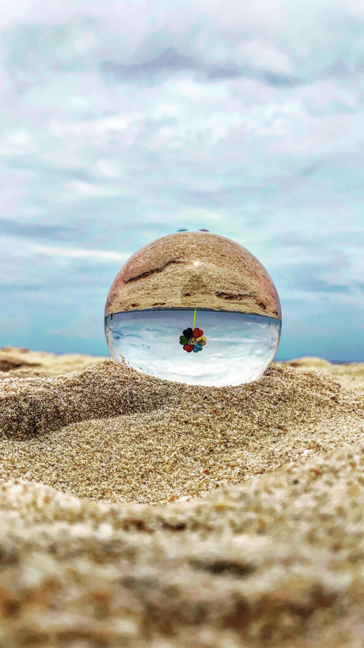 Обои вода, облако, древесина, дерево, горизонт в разрешении 750x1334