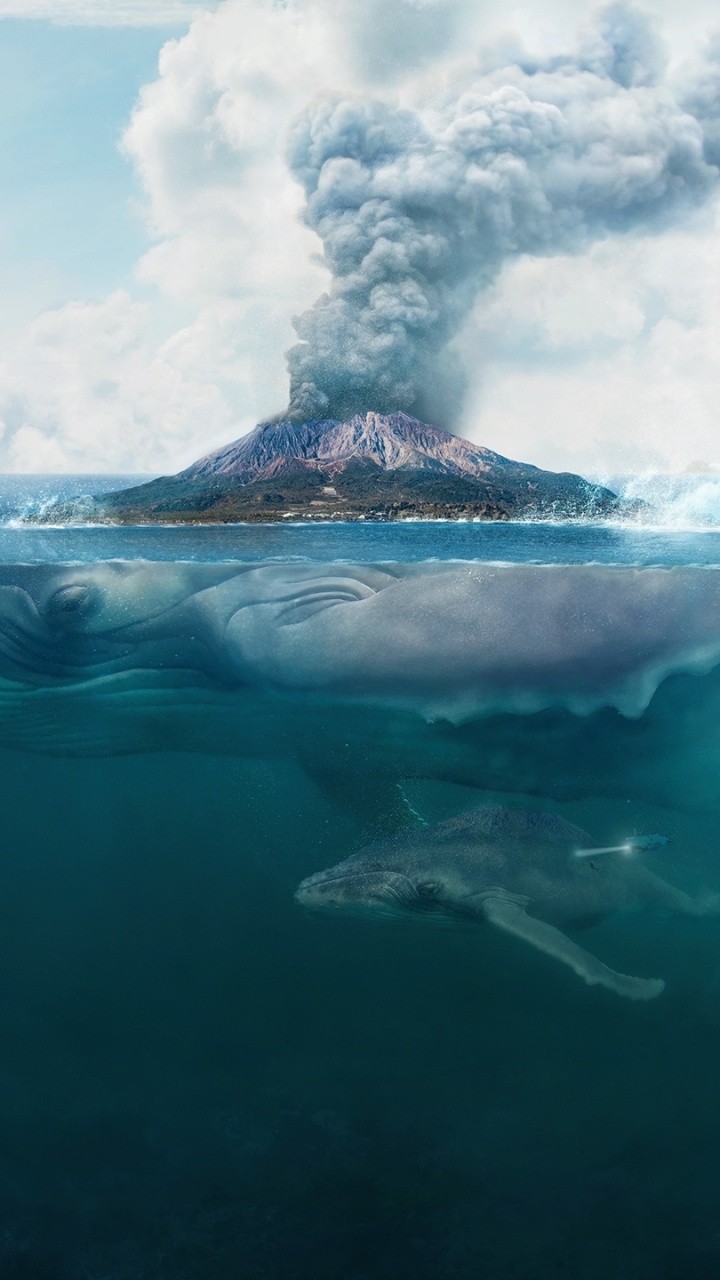 Обои океан, море, арт, морская биология, подземные воды в разрешении 720x1280