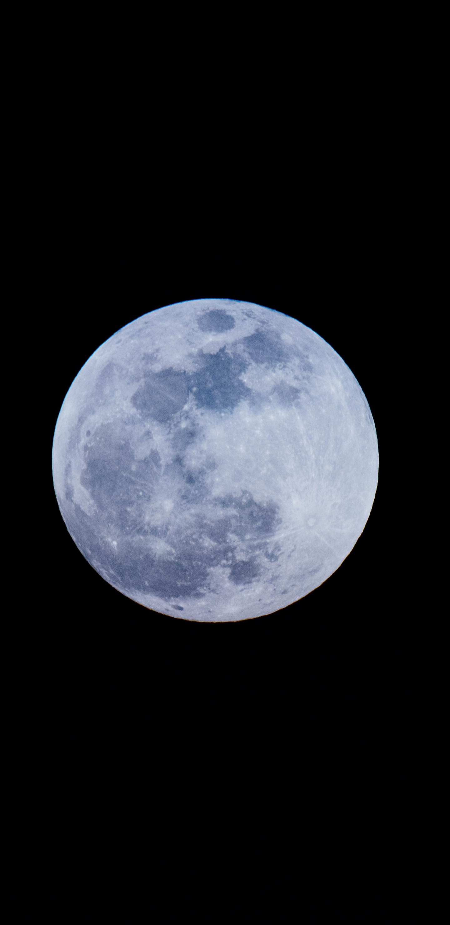Обои луна, небесное явление, астрономический объект, лунный свет, атмосфера в разрешении 1440x2960