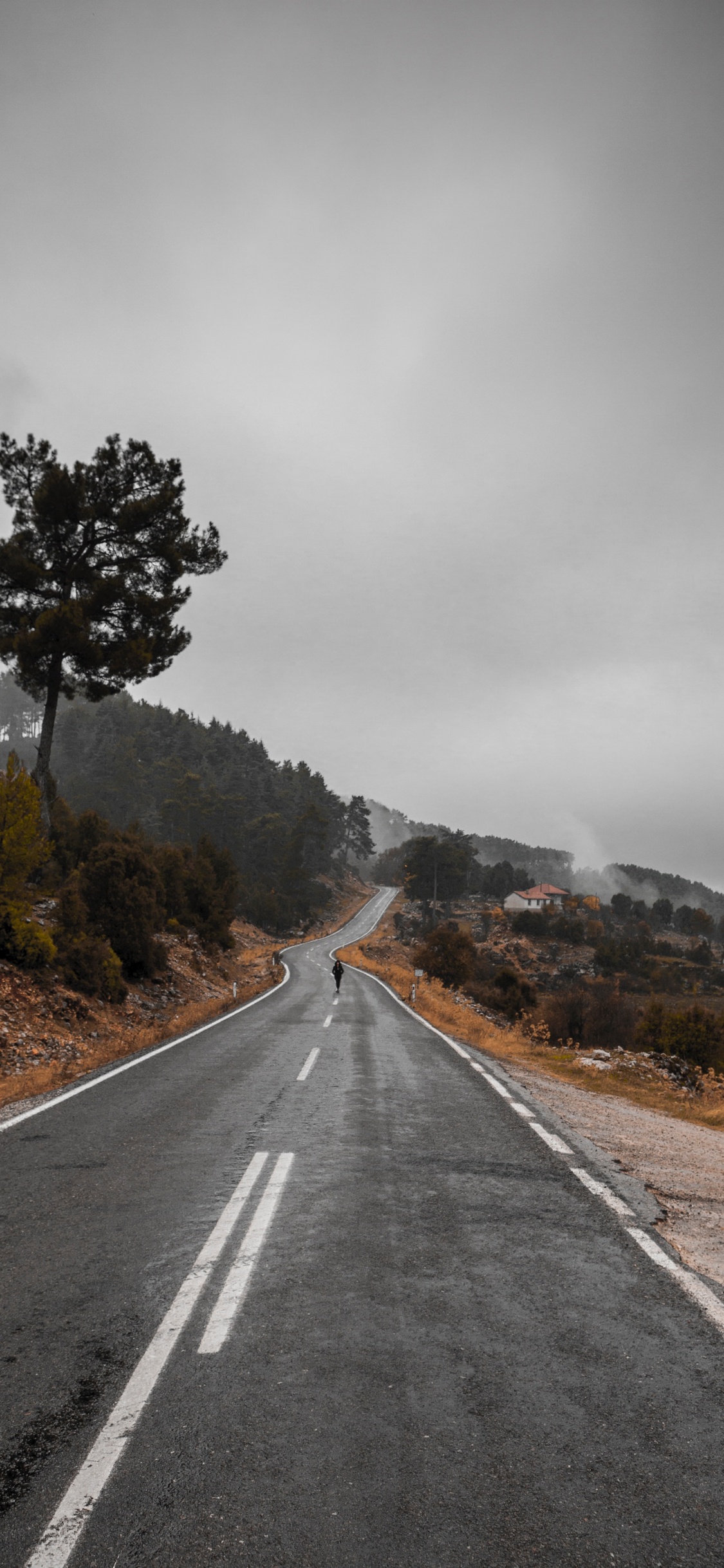 Обои дорога, магистраль, асфальт, переулок, дерево в разрешении 1125x2436